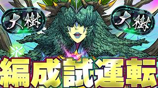 大樹チャレンジと霧雨周回の再開を！！今日は短めかな【パズドラ配信】＃パズドラ