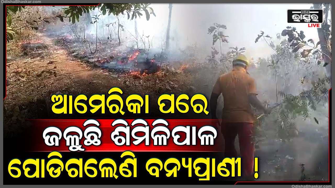 ଆମେରିକା ପରେ ହୁତୁହୁ୍‌ତୁ ହୋଇ ଜଳୁଛି ଓଡିଶା,ପୋଡ଼ିହୋଇଗଲେଣି ବନ୍ୟାପ୍ରାଣୀ,ଜୀବନ ବିକଳେ ଦୌଡ଼ି ଗାଁ ଆଡକୁ ପଳାଉଛନ୍ତି