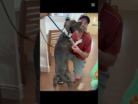 he looks so happy after being adopted ❤️ #respect #moments #shorts