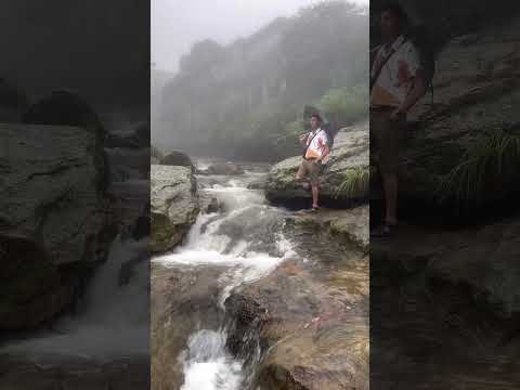 🥰#assamesesong #zubeen #zubeengarg #justicezubeengarg