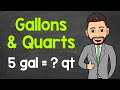 Understanding Gallons and Quarts