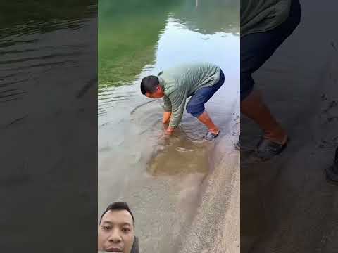 cách làm hay #shortvideo