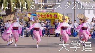 【阿波踊り】はなはるフェスタ2025 大学連の阿波おどり | Awaodori in Tokushima Japan