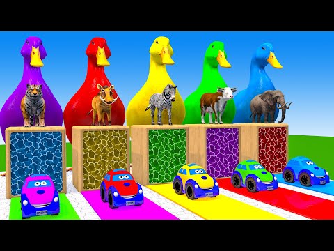 Long Slide Game With Elephant Gorilla Buffalo Hippopotamus Tiger - 3d Animal Game - Funny 3d Animals