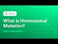 Chromosomal Mutations and Rearrangements