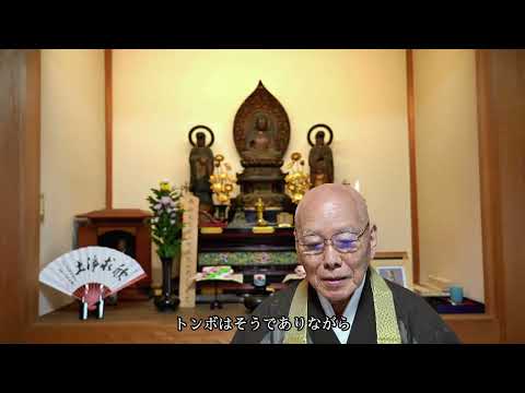 令和7年 8月 藤本台下「今月のお言葉」