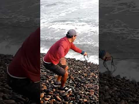 El mar rugía, pero su pesca fue asombrosa… mira la sorpresa que atrapó