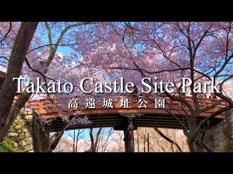 【長野県】高遠城址公園の桜を楽しむ Takato Castle Site Park