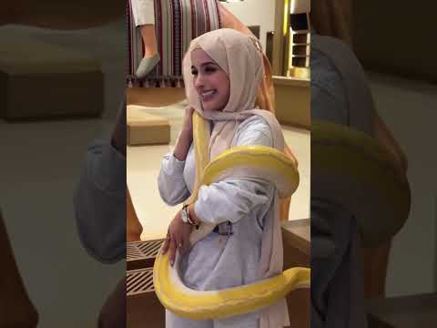 شوفوا شو صار لما الأفعى لفت على ضحى! 🐍😨 | وكانيتا ما صدّق!