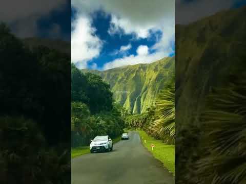 Beautiful road #music #tiktok