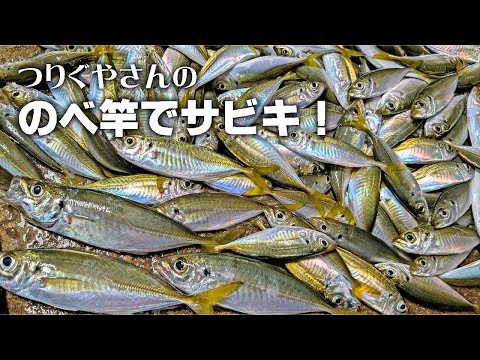 のべ竿でサビキ！（つりぐやさん）｜アジ 和歌山 釣り