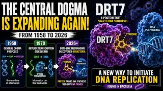 DRT7 Protein vs Centra Dogma