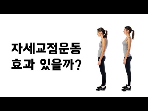 자세교정운동의 진실