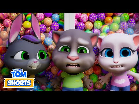 Fun in the Ball Pit 🔴🟢🔵⚫️🟣🟡⚪️ Talking Tom Shorts ⭐️ Cartoons for Kids 🔴 24/7 LIVESTREAM