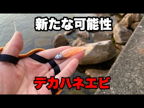 【バス釣り】これまたヤバい釣りが来たかもしれません