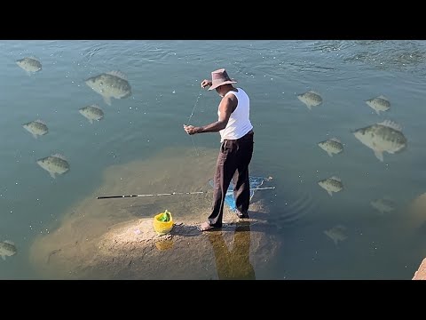 #shortvideo #fishing #fishingmethods #fish