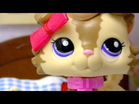 ⚡ LPS Reflections - Episode 1 (Imperfect Life) ⚡