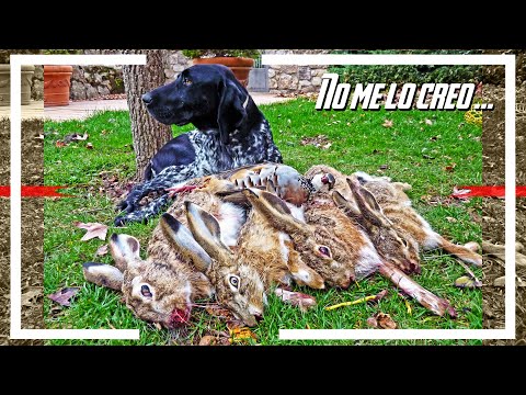 CAZA de LIEBRES y PERDICES 🐇🐦 ¡Jornada totalmente inesperada😵! 2021