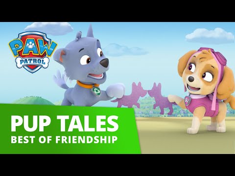 PAW Patrol - Friendship Day Music Video! - PAW Patrol Official and Friends!
