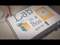 STEM Education and Gender Stereotypes