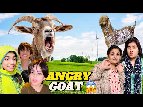 BAKRAY nay BACHON par ATTACK kar diya || BAKRA lay liya #eid #eiduladha #bakraeid #vlog