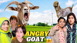 BAKRAY nay BACHON par ATTACK kar diya || BAKRA lay liya #eid #eiduladha #bakraeid #vlog