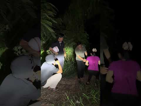 Nhà nghỉ không bao nhiều tiền không đi hai đúa bay vào bụi lùm chơi