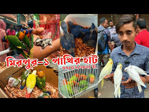 রমজান মাসে প্রথম হাট | মিরপুর-১ পাখির হাট | দেশী বিদেশি অনেক পাখি হাটে এসেছে | বেচা কেনা কম।7 Mar 25