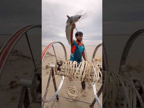 Catching Shark in River with Catfish Bait #hook #yarnroll #shorts