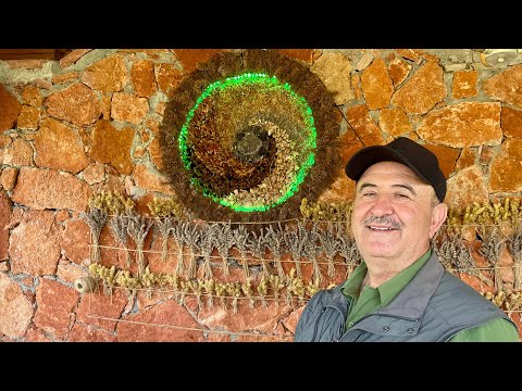 Kaz Dağları’nın Kalbinde Şifa Dolu Bir Vadi | Koşan Vadi Kazdağları