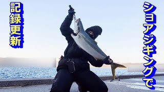 【ショアジギングで自己記録更新】極寒の漁港で始まるパワーファイト！