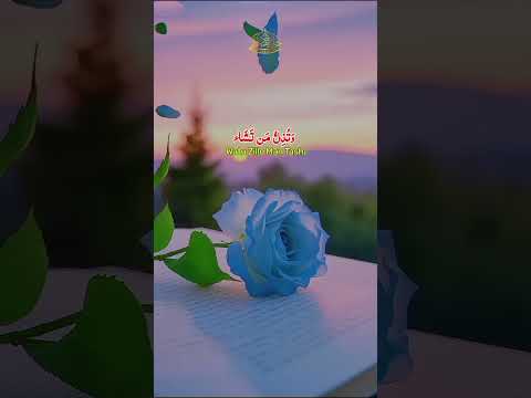 Watu Izzu Mantasha Watu Zillu Mantasha - Hafiz Jalabeeb Qadri