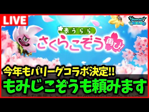 【ドラクエウォーク】さくらこぞう再び！運営さん、もみじこぞうもお願いしますね…【雑談放送】