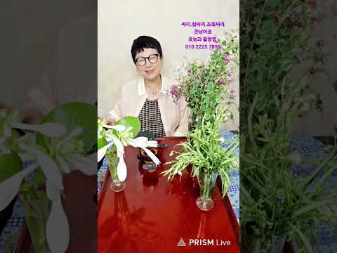 싸리나무 씨앗 먹으면 겨울에 추위 모르고 <strong>산다</strong>? 또 100살 넘게 <strong>산다</strong>? 무술인과 차력사 힘은 싸리 씨앗?