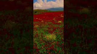 Армения😍 Туры по Армении🤗 Tours in Armenia 🤗#армения #армяне #armenia #armenian #armenia
