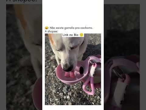 ๐ PRODUTO 308! โจ Gostou? Link na Bio ๐๐#shorts