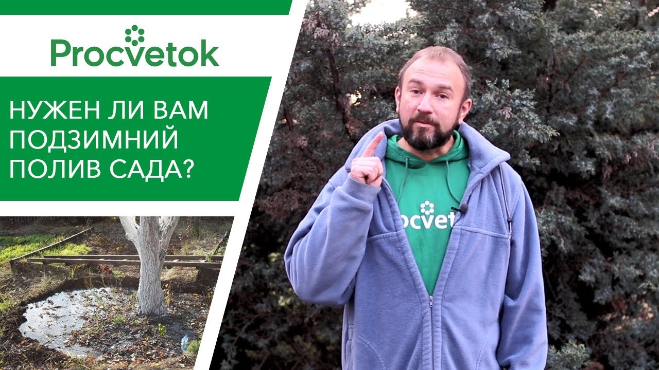 Что такое влагозарядный полив? Нужен ли вам влагозарядный полив?