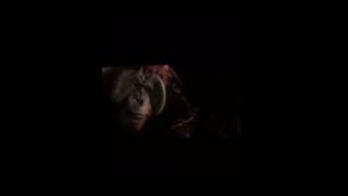 War For The Planet Of The Apes Ending HD (Spoilers)