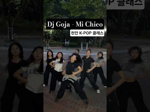 Dj Goja - Mi Chico 챌린지도전!! | 천안댄스학원 #트렌디댄스학원