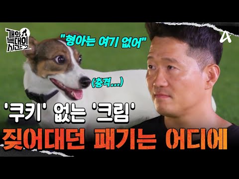 | 개와 늑대의 시간2 32 <strong>회</strong>