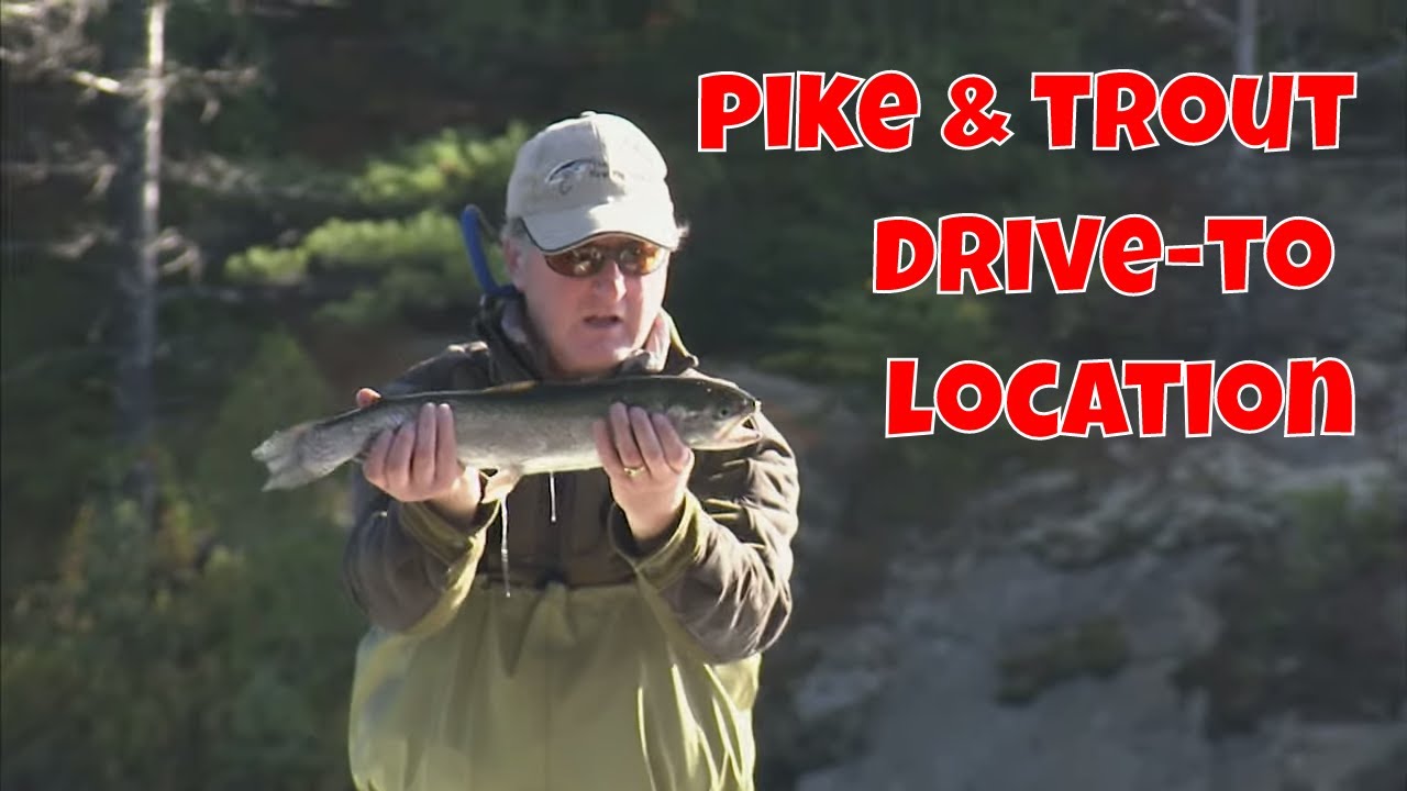 Trout & Pike - Drive-To Location - The New Fly Fisher