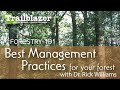 Forestry Practices and Environmental Impact