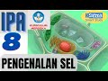 Cell Biology Concepts and Functions