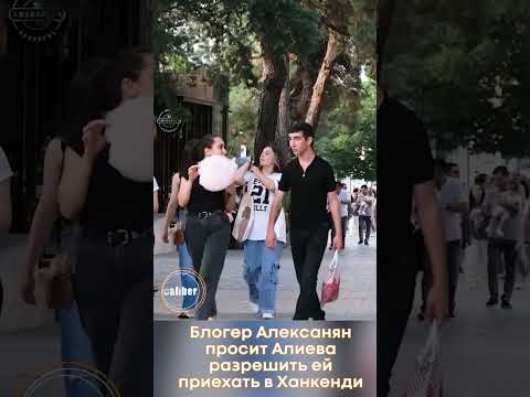 Блогер Алексанян просит Ильхама Алиева разрешить ей приехать в Ханкенди