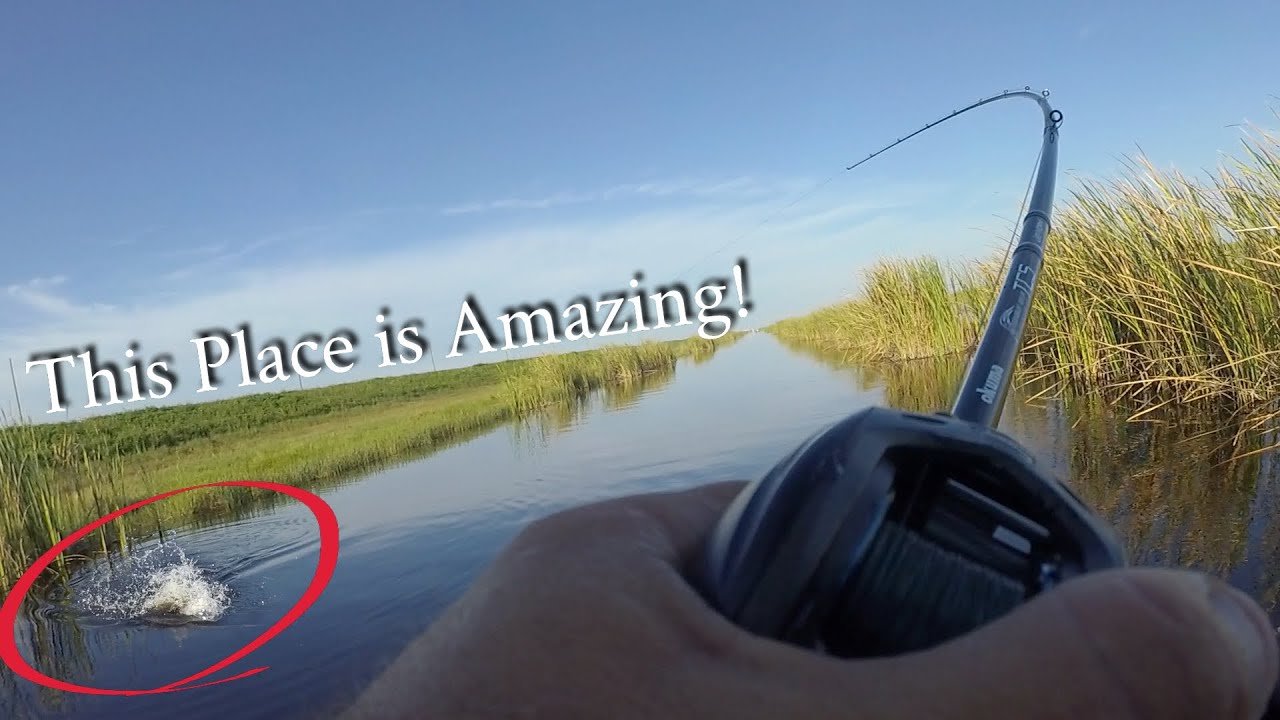 This Place is Amazing - Best Fishing Lake