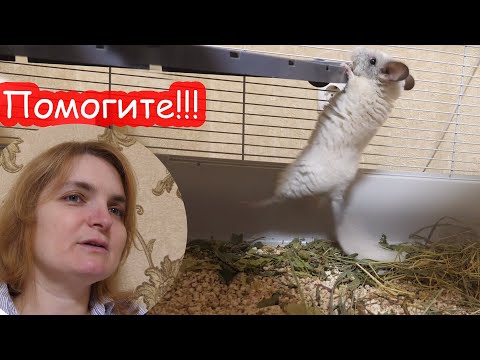 Помогите придумать имя