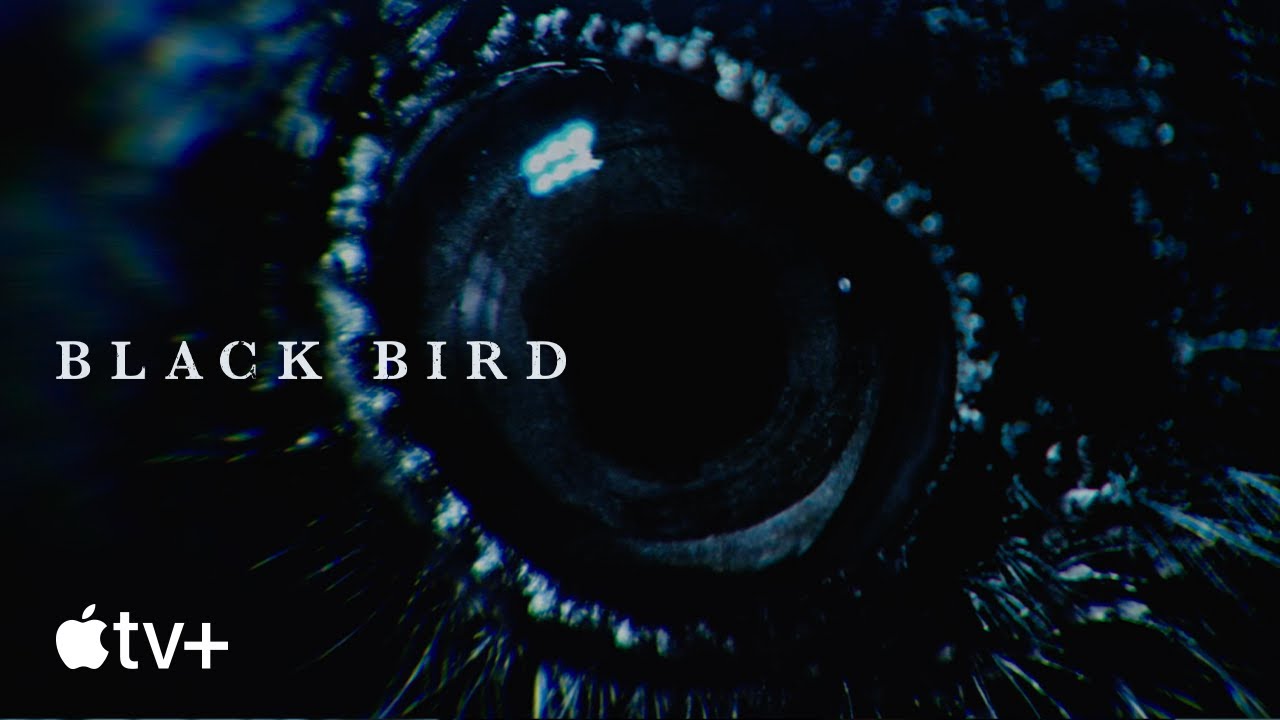 Black Bird miniatura do trailer