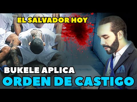 🔴 Noticias El Salvador Hoy 31 de octubre 2024, El Salvador Noticias 31 de octubre 2024, NAYIB BUKELE