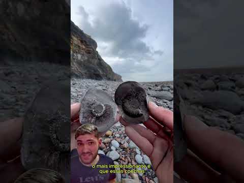 Esse fóssil tem mais de 128 milhões de anos!!