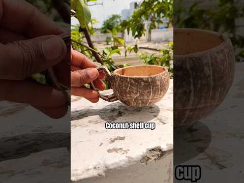 Diy coconut shell cup #ytshorts #diy #coconutshellcraft #cup
